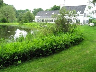 Pond at the back of George and Caroline's house