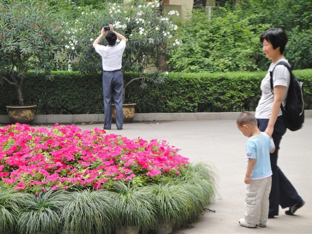DSC00180-1600