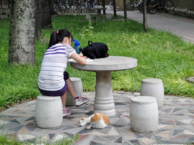 DSC00183-1600