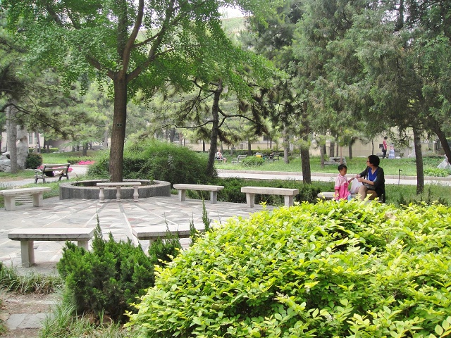 DSC00186-1600