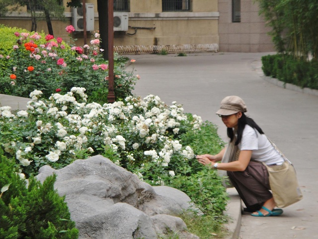 DSC00189-1600