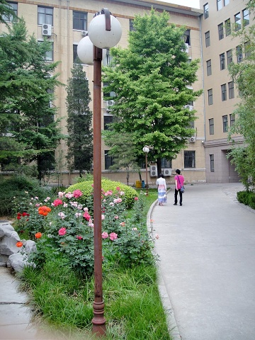 Path to the main building