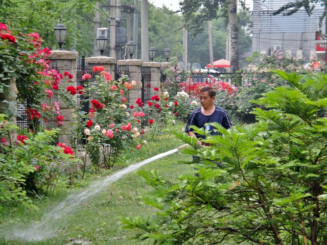 DSC00204-1600