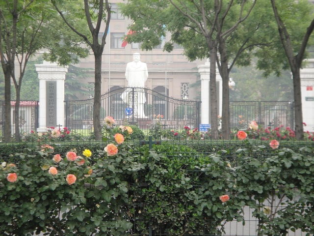 Across the road from BLCU. Between each of the four lanes are rows of roses