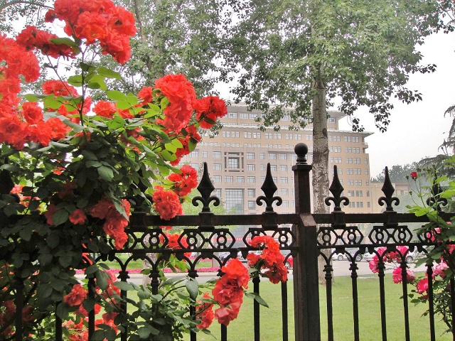 Looking from outside towards BLCU main building
