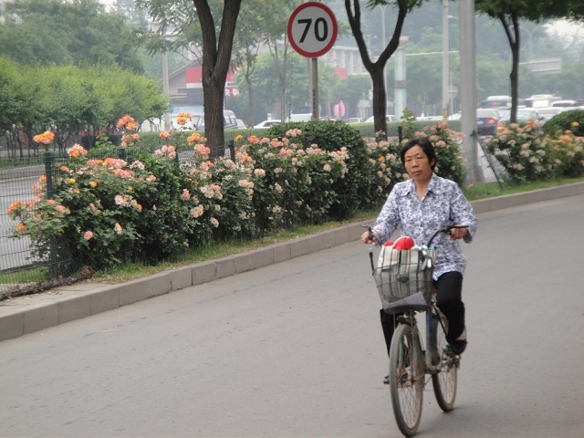 Most roads have large bike paths