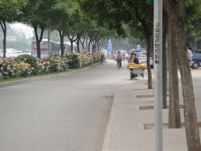 The rose dividers go all the way along the road