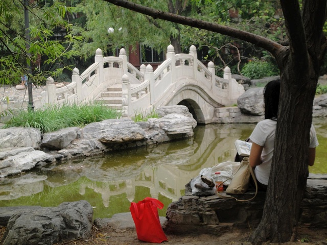 DSC00230-1600